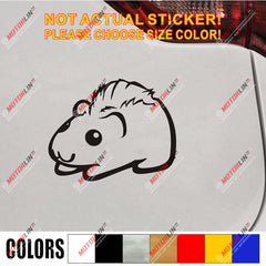 Guinea Pig Pet Decal Sticker Car Vinyl pick size color no bkgrd die cut