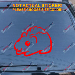Guinea Pig Pet Decal Sticker Car Vinyl pick size color no bkgrd die cut