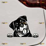 Peeking Rottweiler Dog Sticker Decal Vinyl Tilted Head, Car Truck Rear Windshield – For Car Truck Bumper Bike Laptop – Custom, Choose Size, Reflective or Glossy
