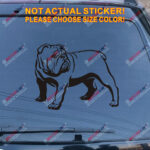 British Bulldog English Decal Sticker Car Vinyl pick size color no bkgrd c - Image 10
